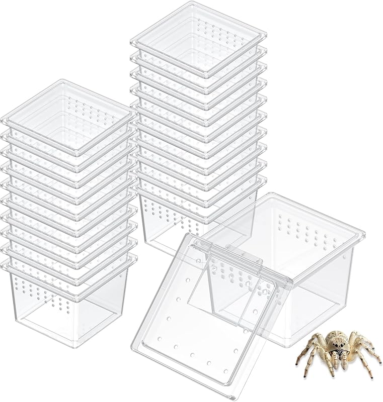 Pawfly Terrarium Transparent Enclosure Tarantula