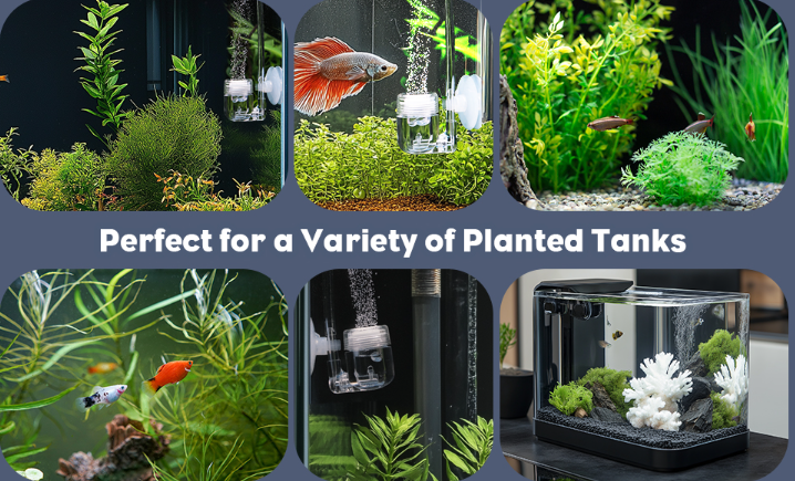 Pawfly Company Values